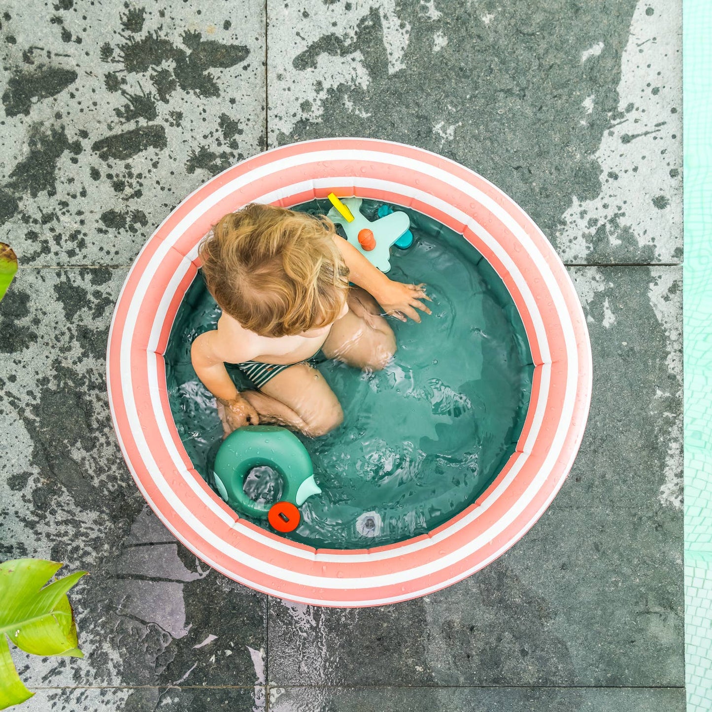 Dippy Inflatable Pool | Small
