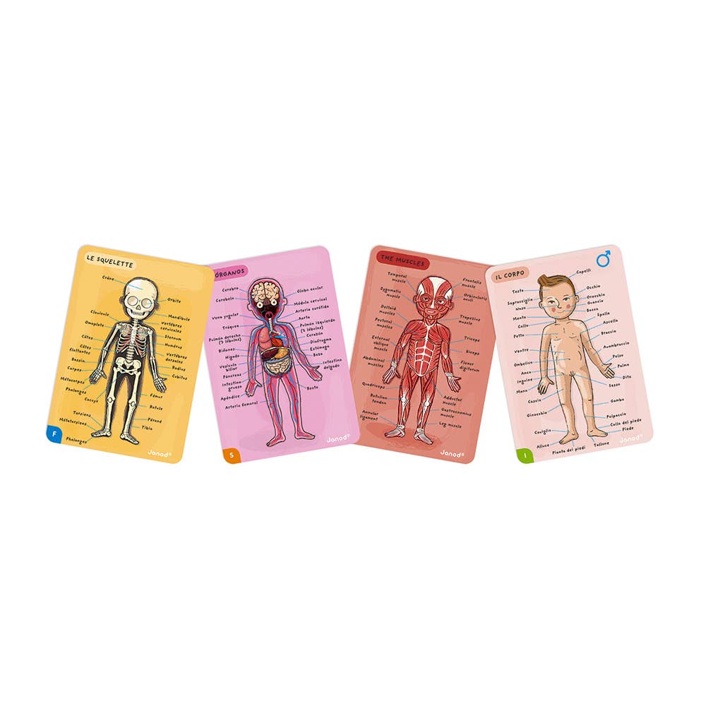 Human Body Magnetic Activity Board