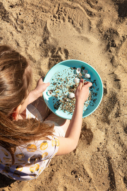Flying Disc & Sand Sifter