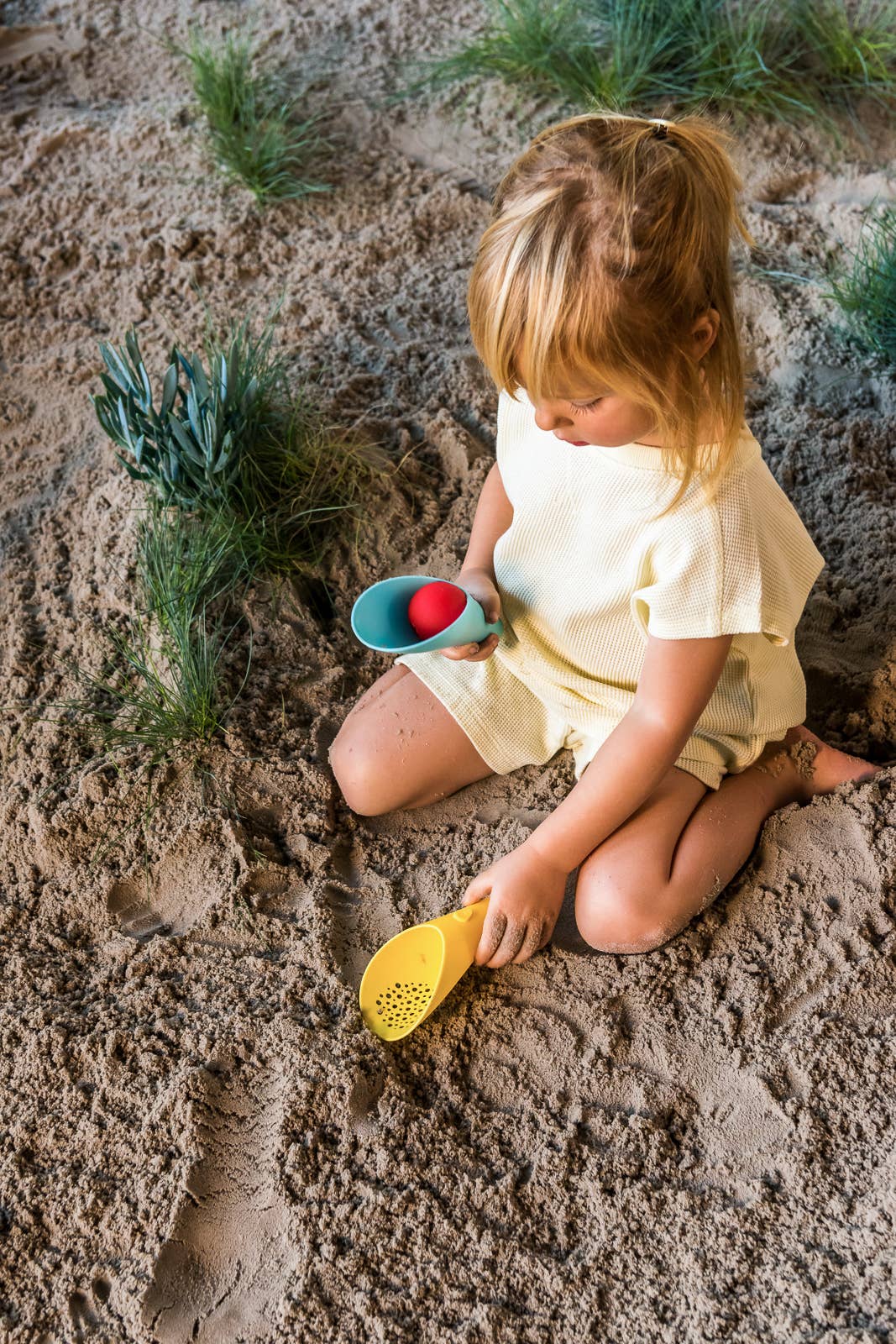 Cuppi | Shovel, Sifter and Ball In One!