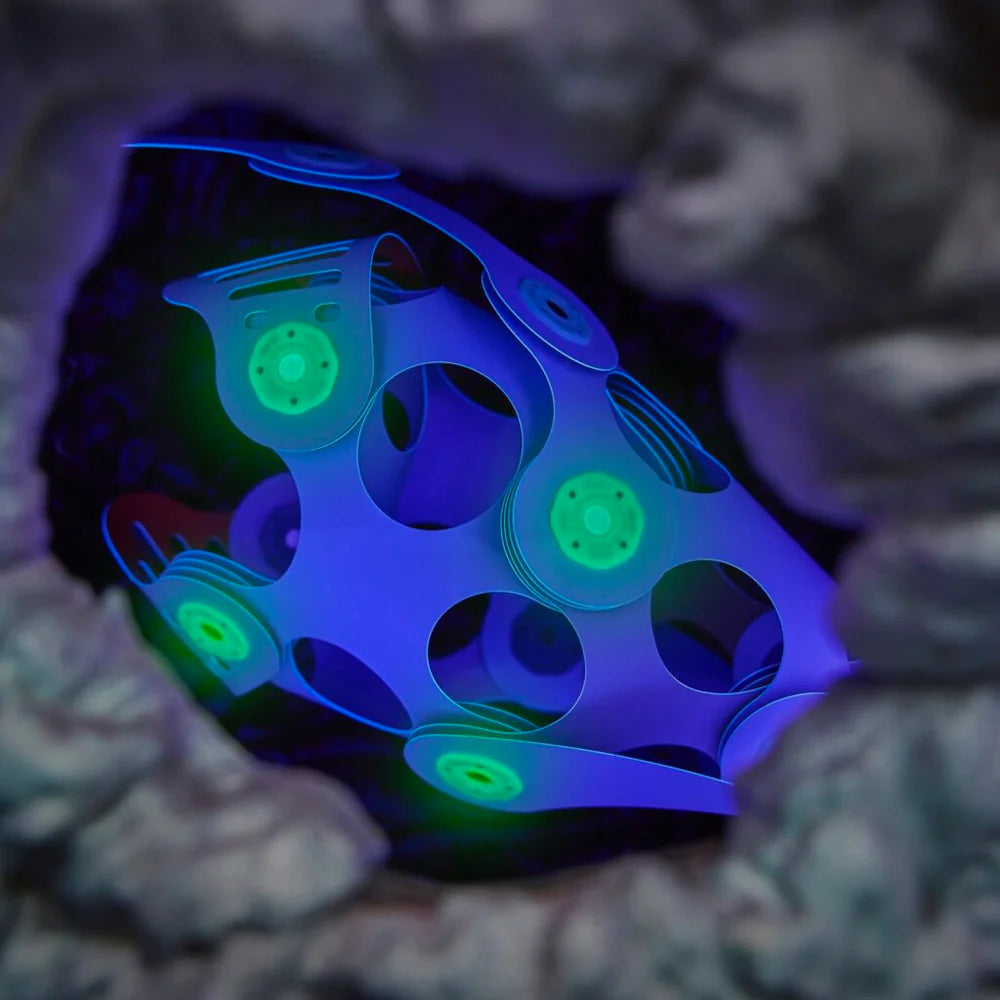 Ocean Creatures Pack | 24 Pieces