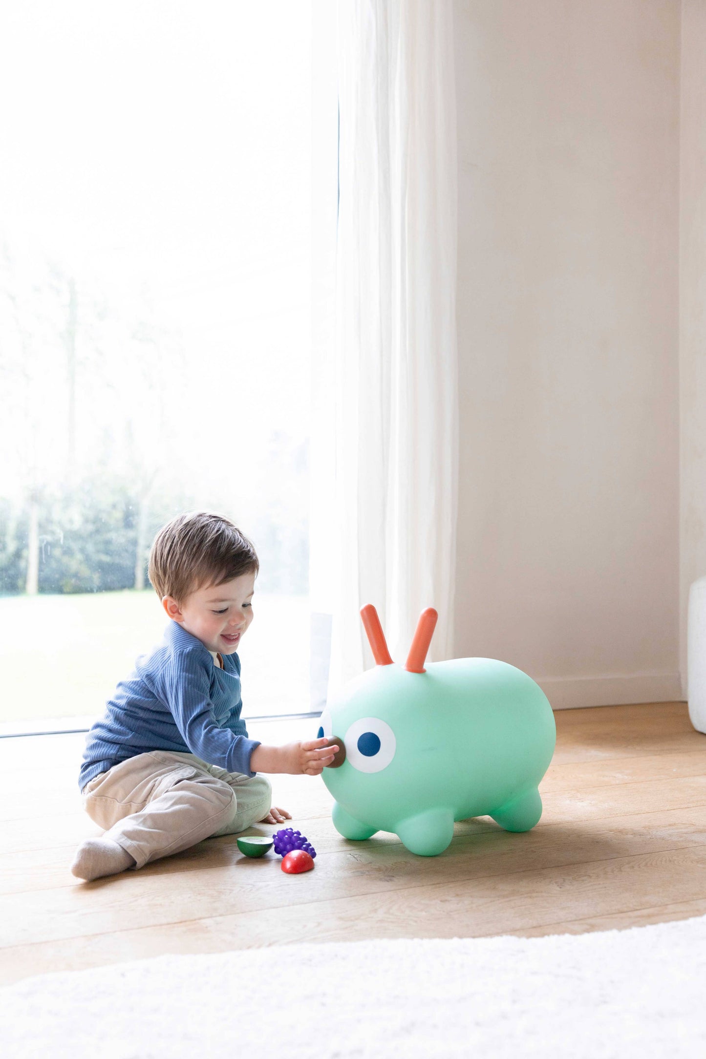 Skippi Bounce Toy