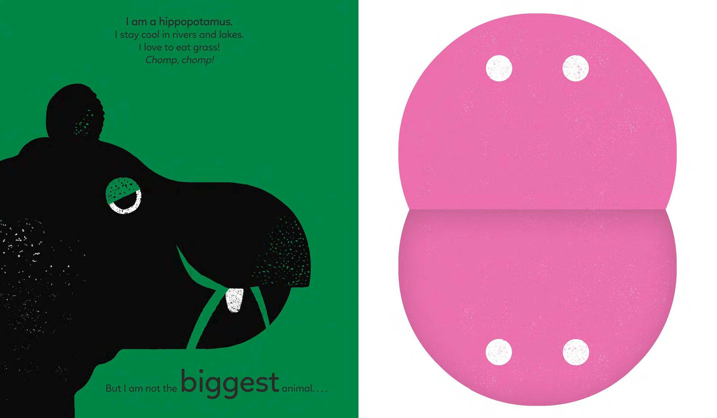 Big, Bigger, Biggest