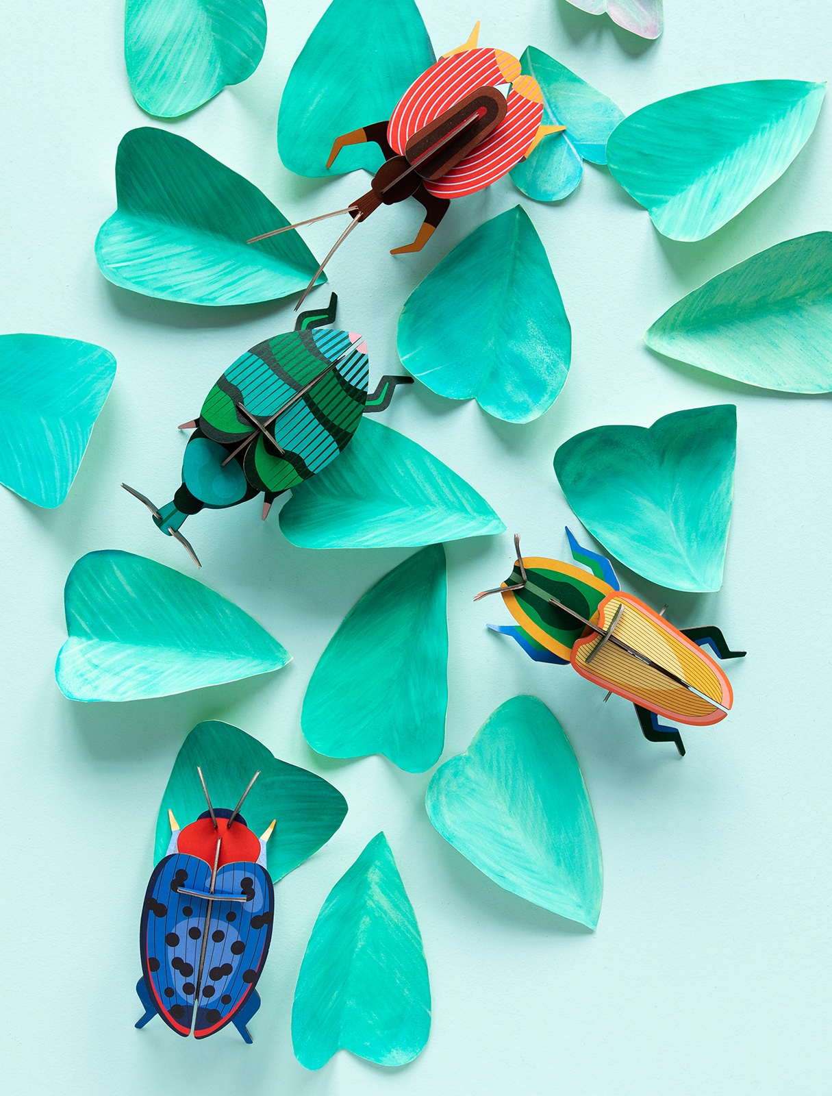 Fungus Beetle