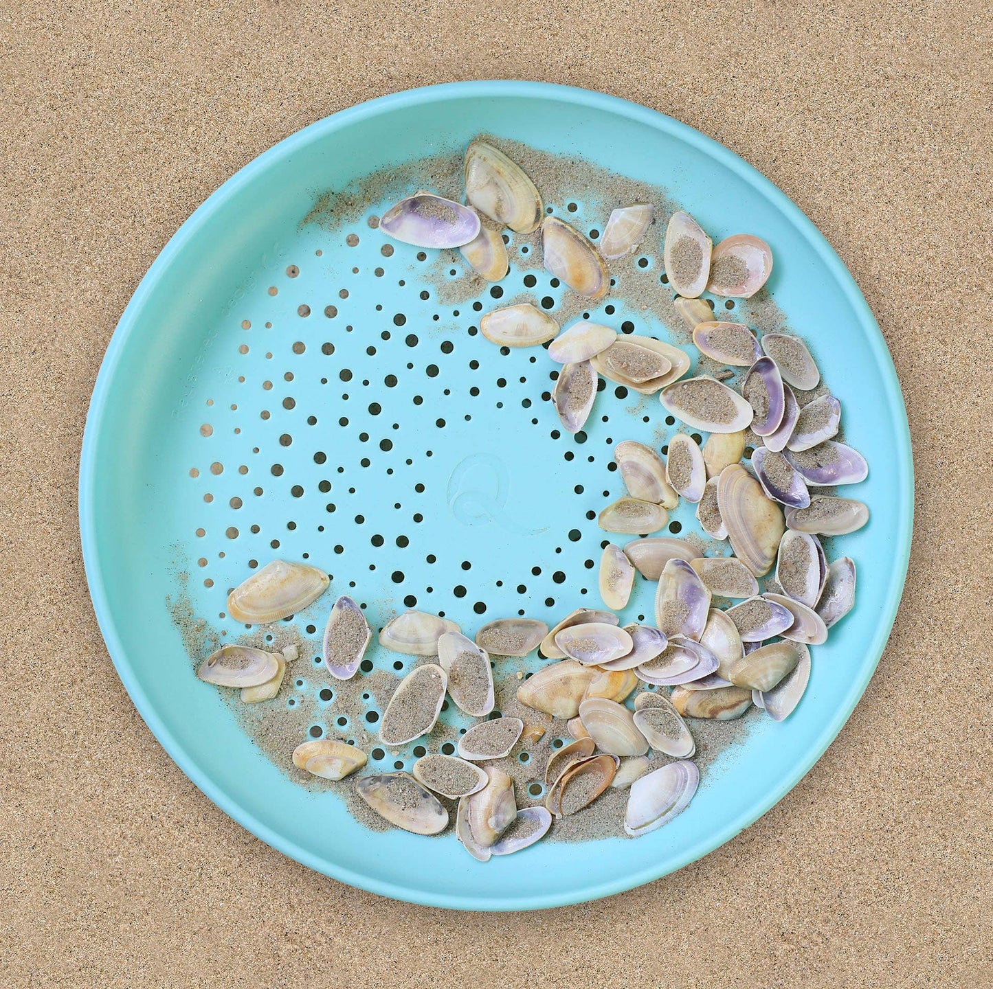 Flying Disc & Sand Sifter