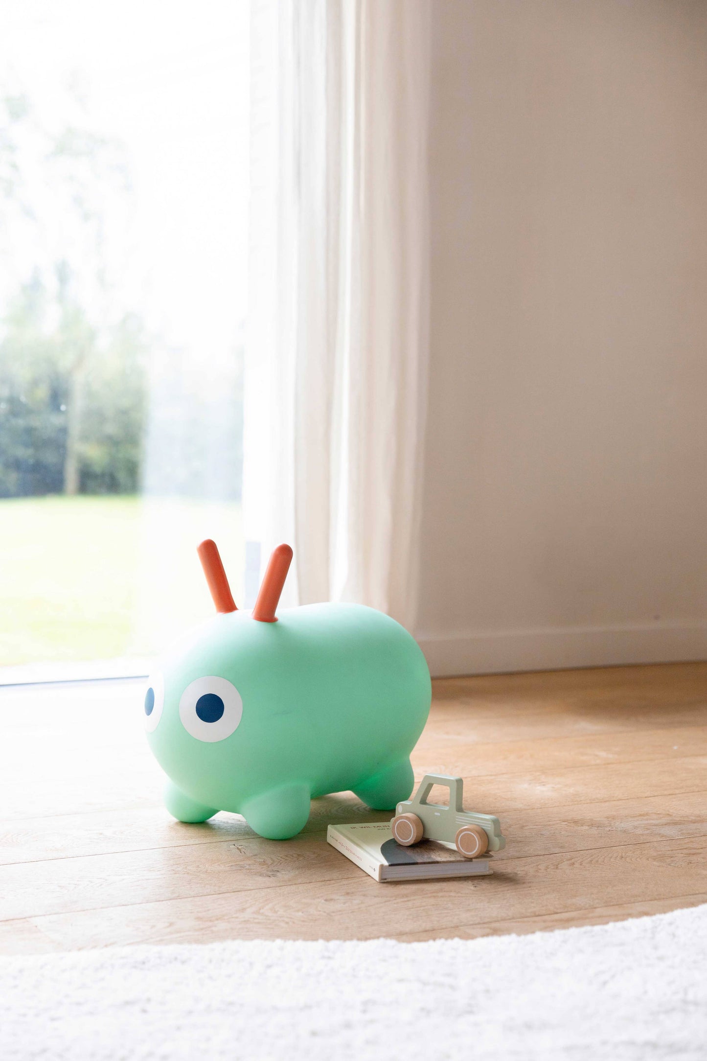 Skippi Bounce Toy