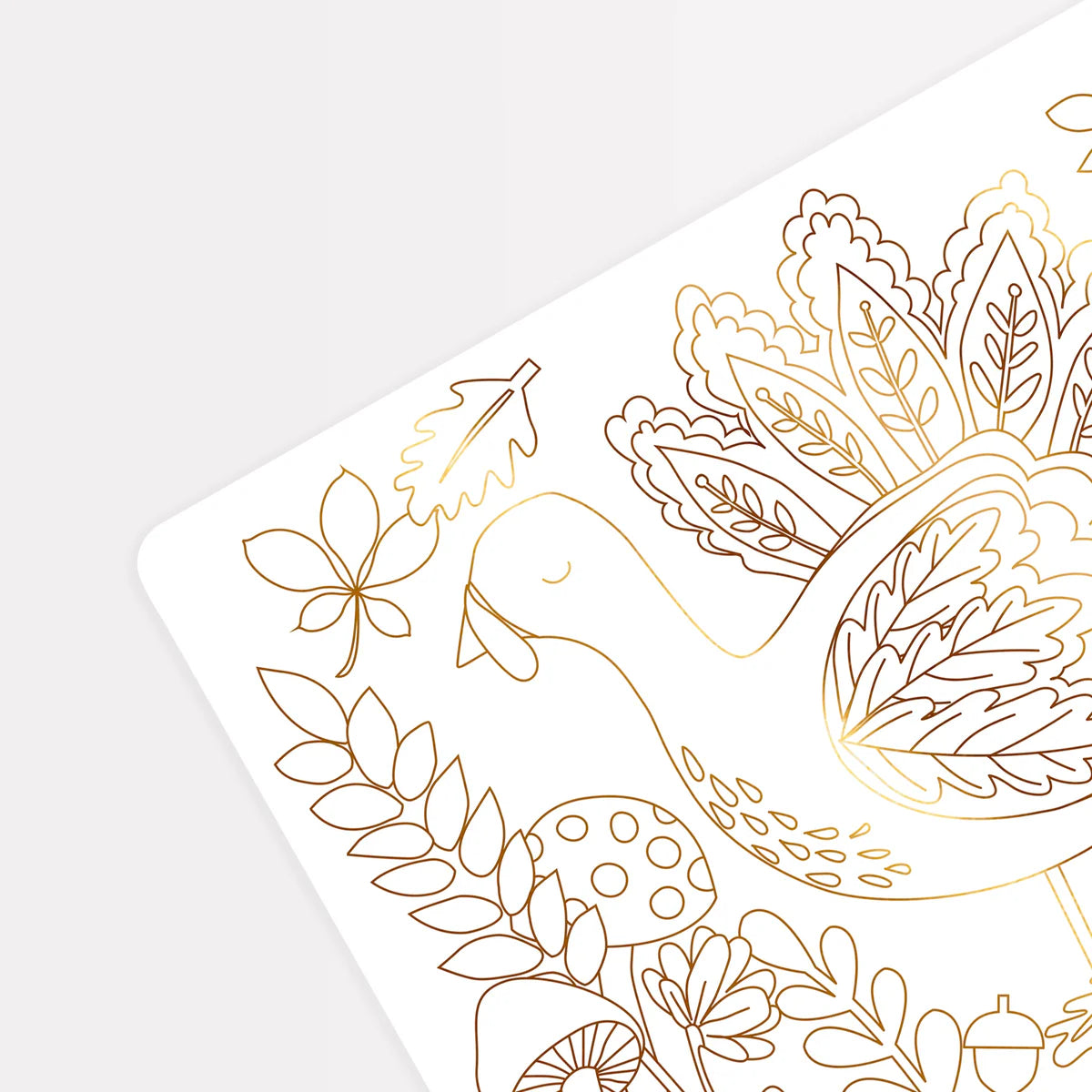 Thanksgiving Colour in Placemat
