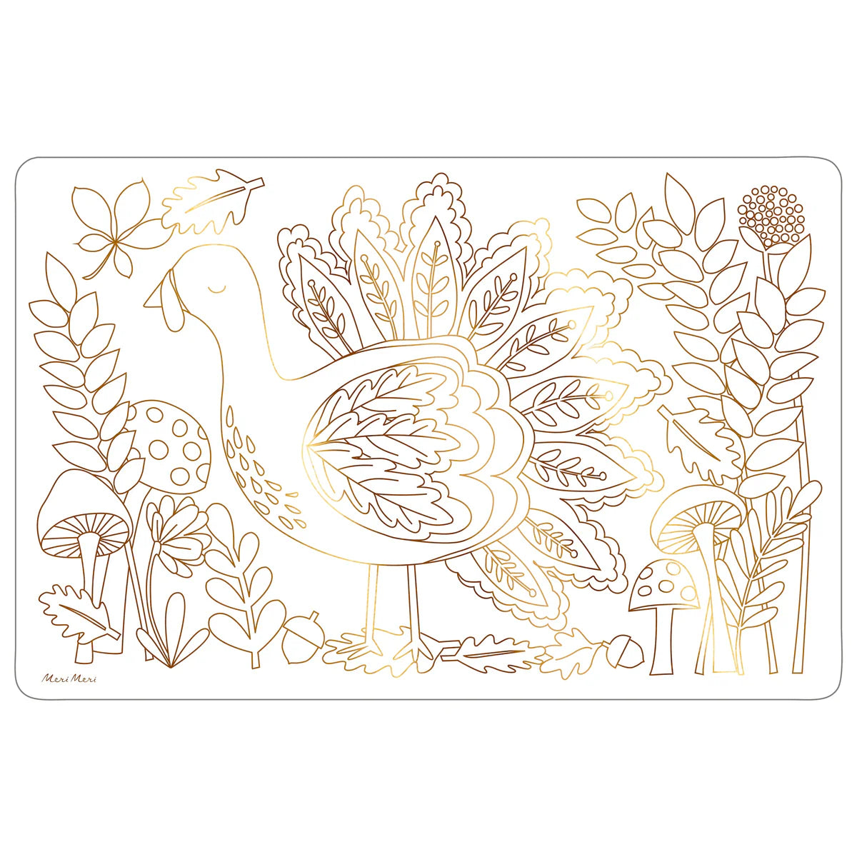 Thanksgiving Colour in Placemat