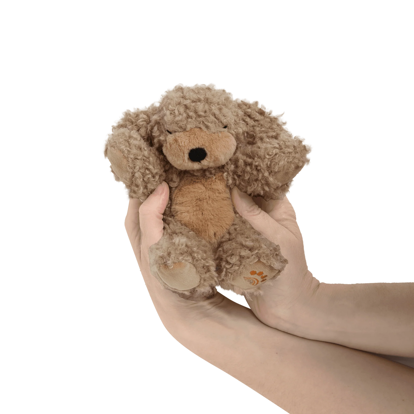 Binky Puppy | Benny