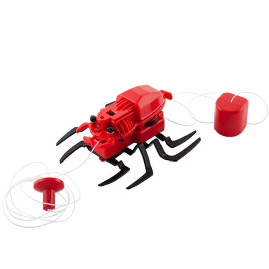 Spider Robot