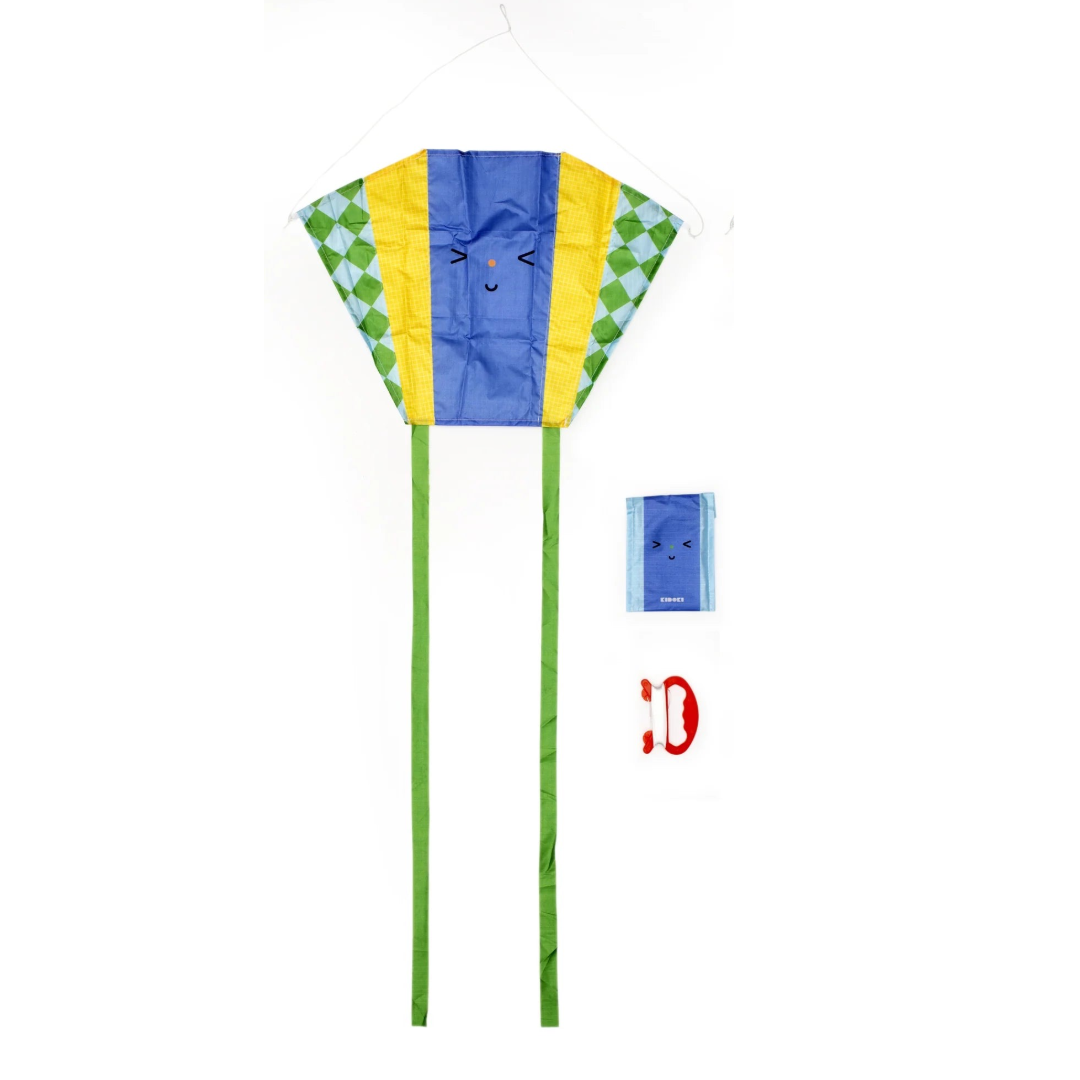 Funny Faces Pocket Kite