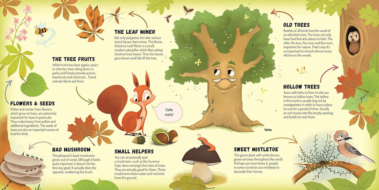 Discovering Life In The Tree | Board Book